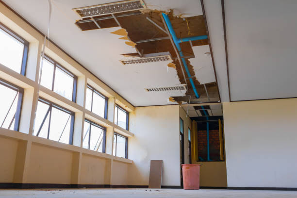  Double Oak, TX Water damage restoration Pros