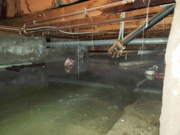 Water damage restoration mold remediation in Double Oak, TX