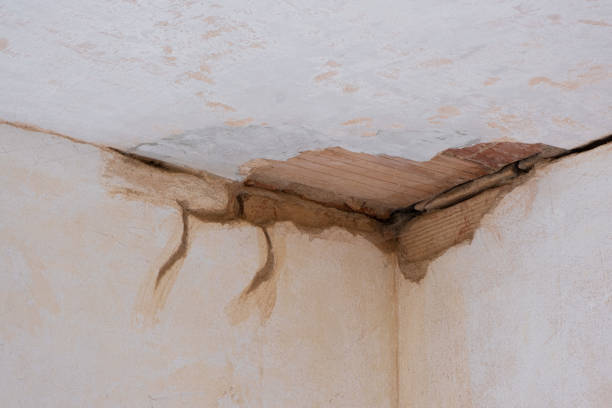  Double Oak, TX Water damage restoration Pros