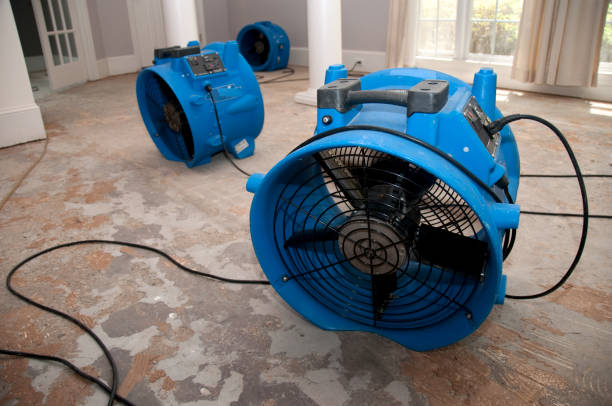Best Water damage restoration near me  in Double Oak, TX