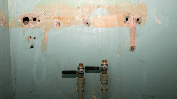 Best Commercial water damage restoration  in Double Oak, TX