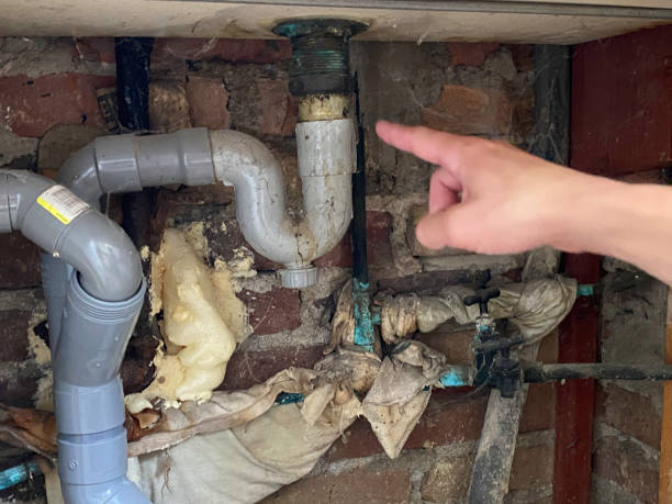 Best Water damage cleanup near me  in Double Oak, TX