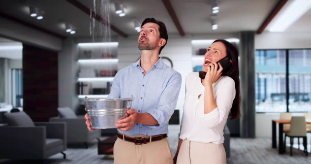 Best Ceiling water damage repair  in Double Oak, TX